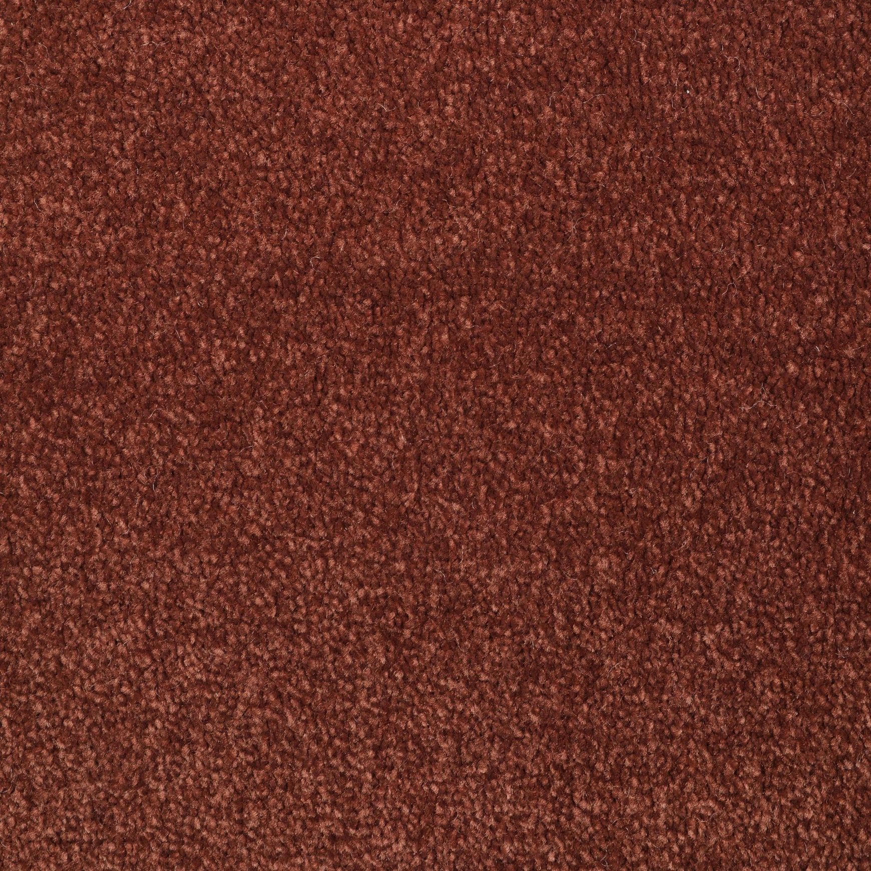 Evoke 2623