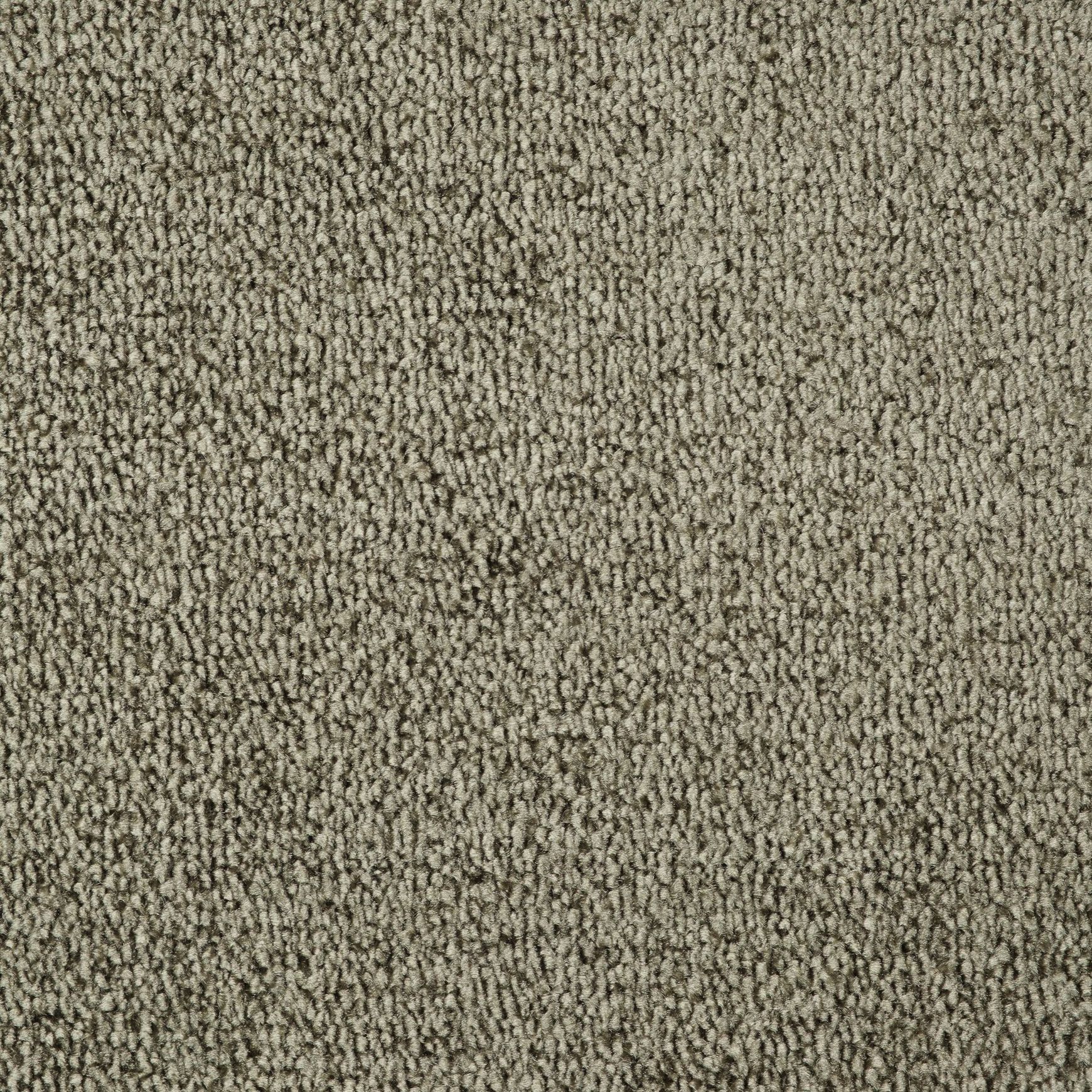 Evoke 2624