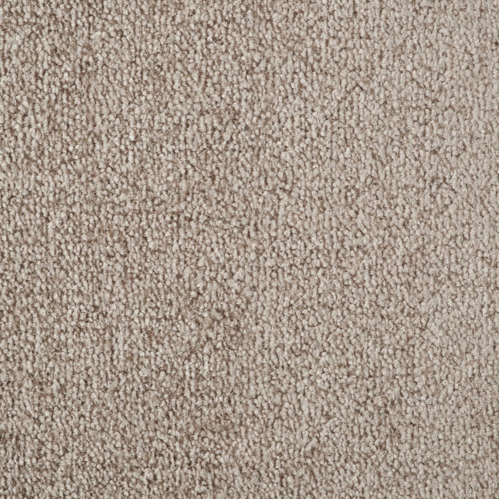 Evoke 2624