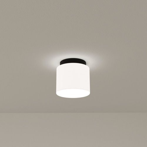 Sparky Ceiling/Wall Light in Matte Black