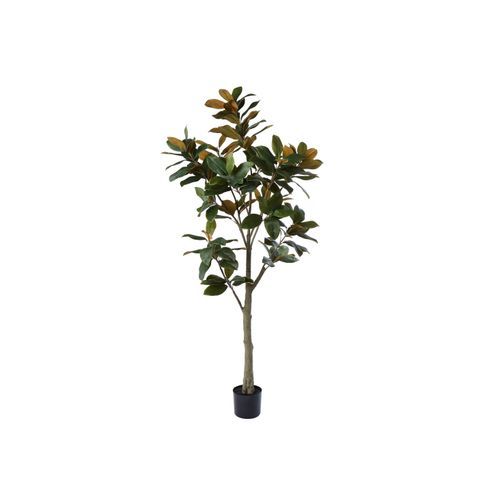 Broadleaf Potted Tree 91cm