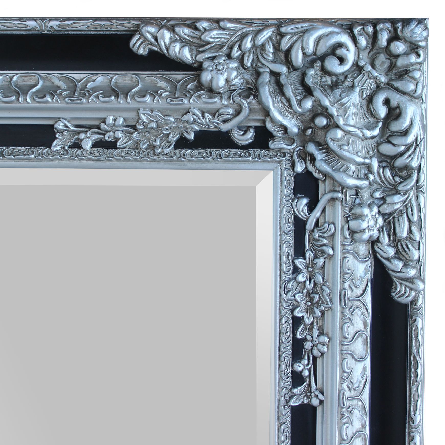 F22 Grenoble Mirror