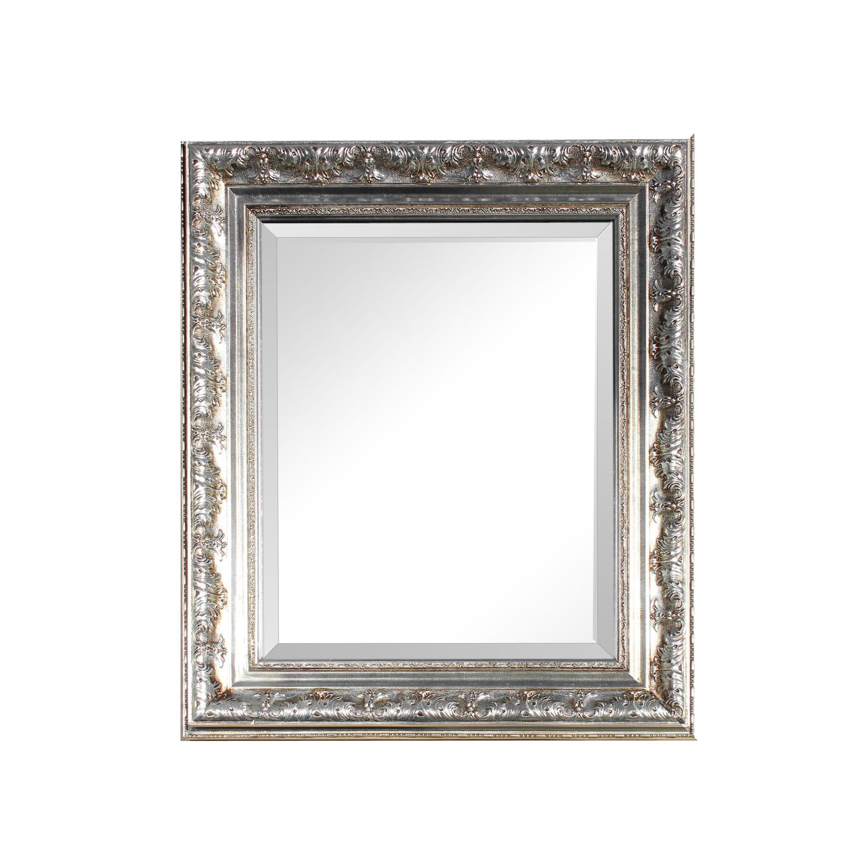 i026 Michaelangelo Mirror