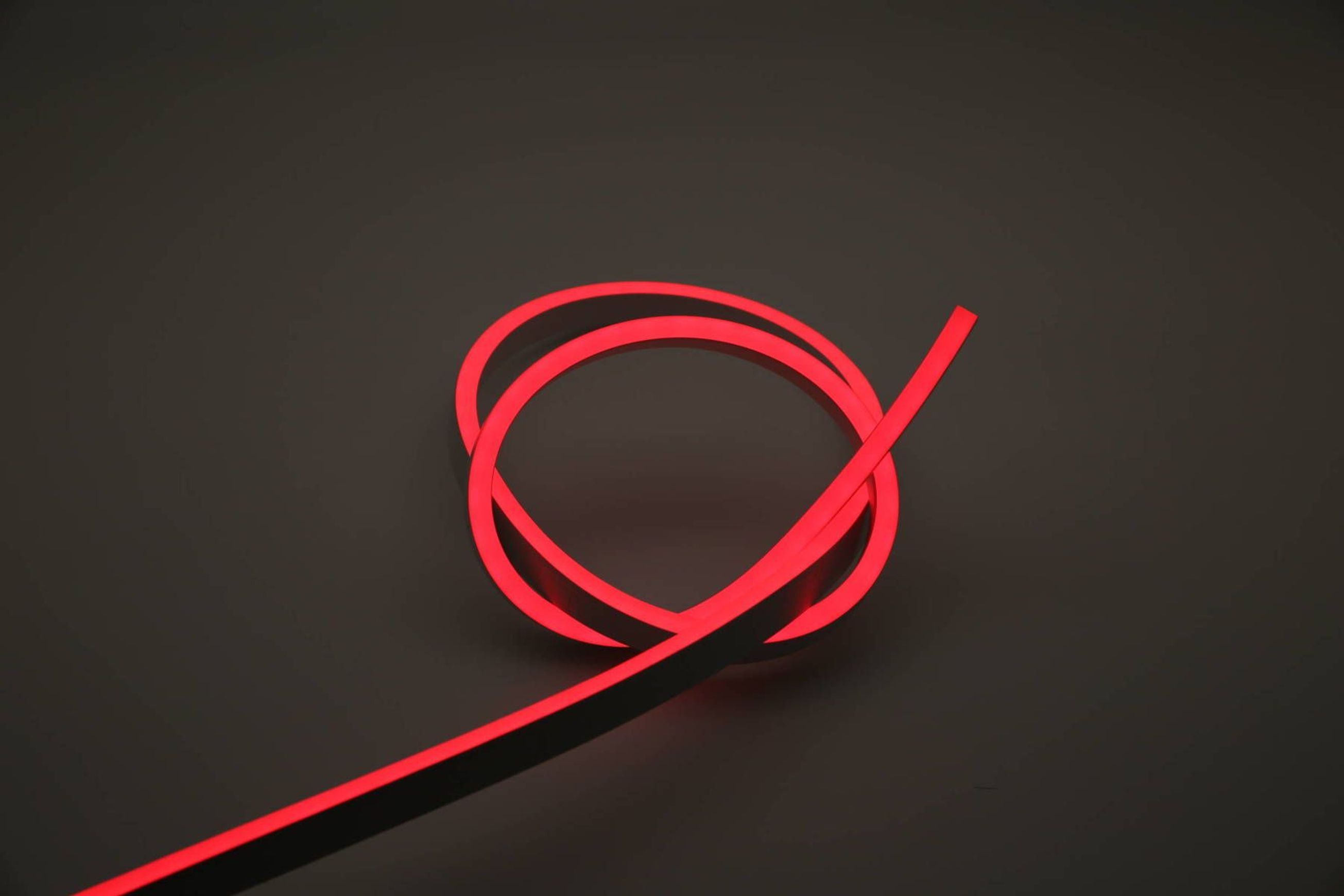 Cobra Snake Light