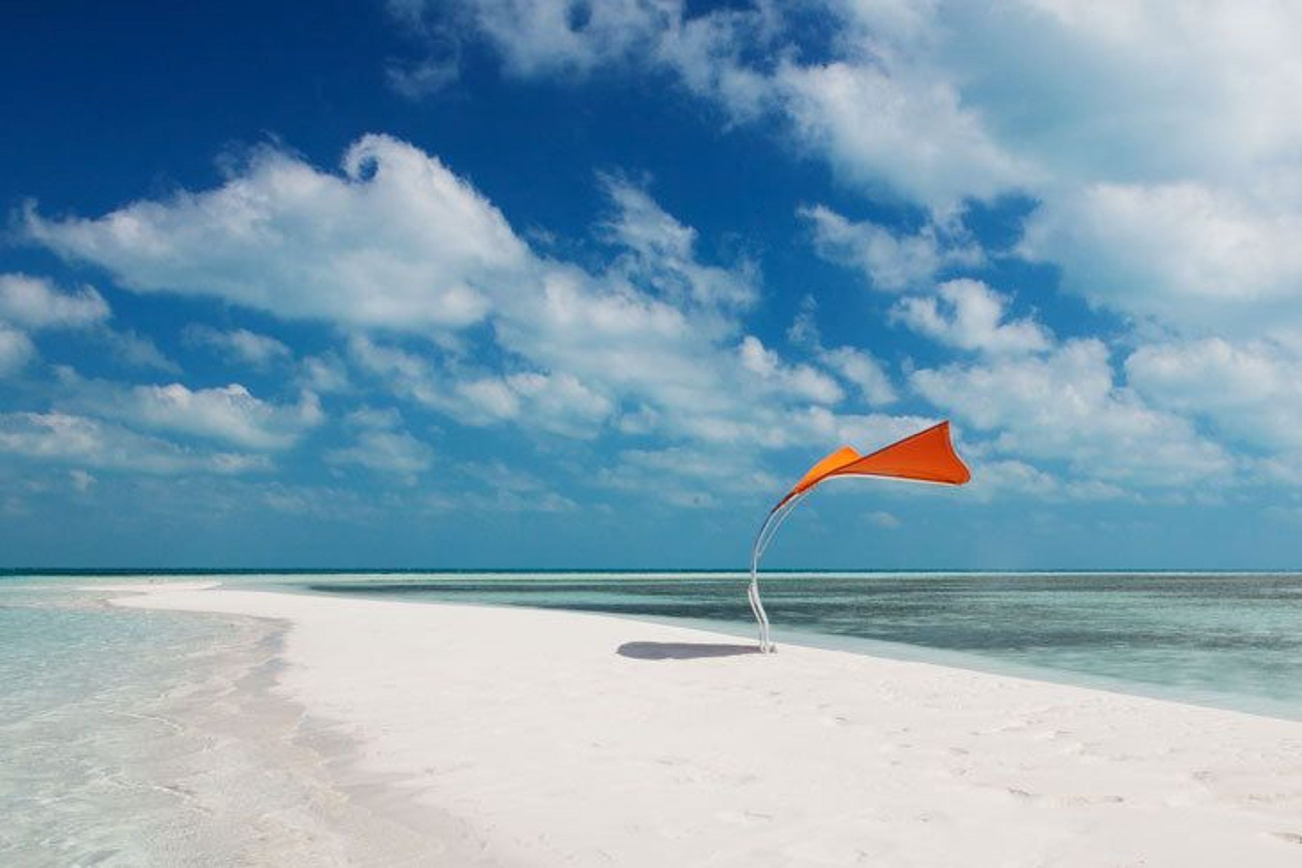 Tuuci Stingray Shade Sculpture