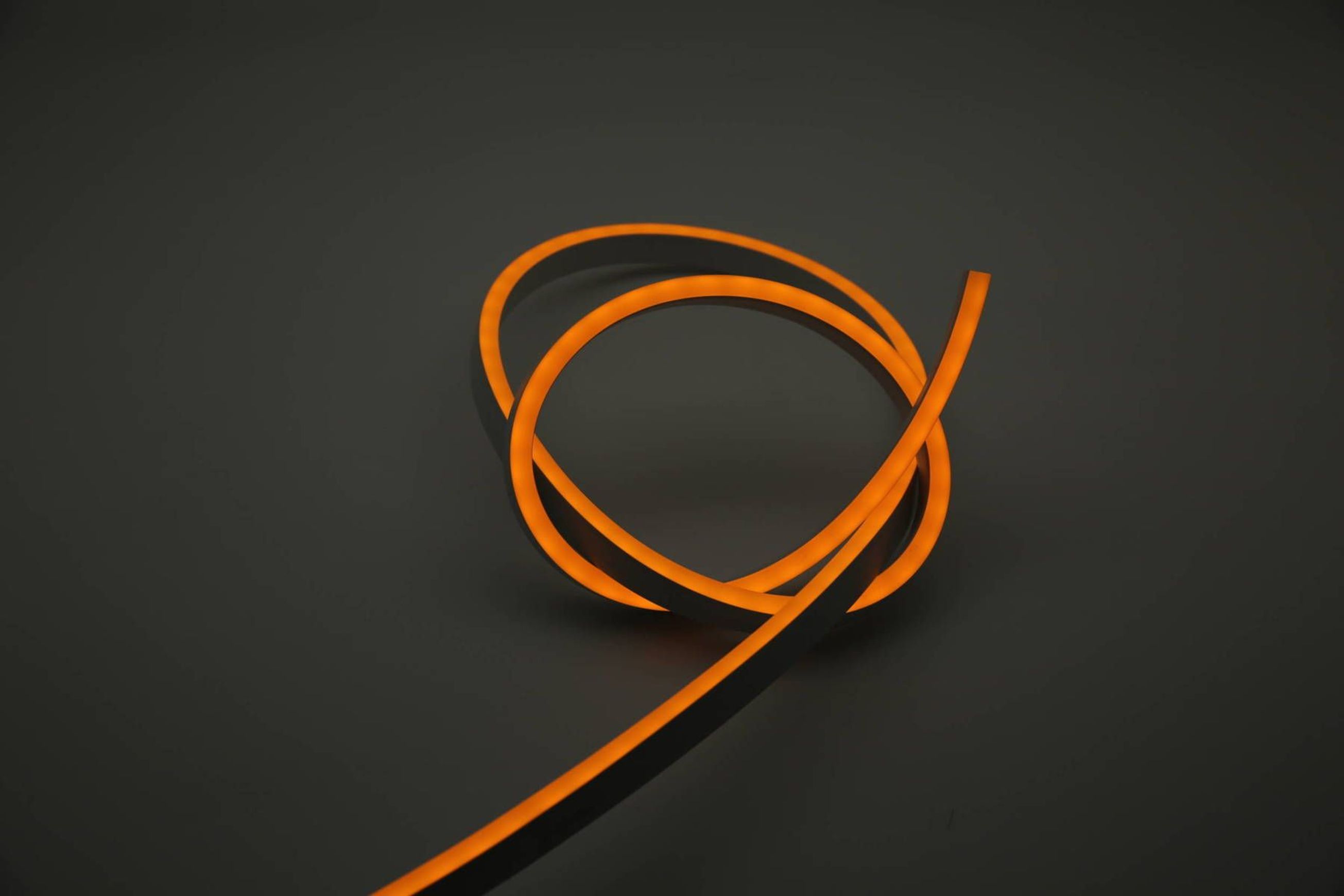 Cobra Snake Light