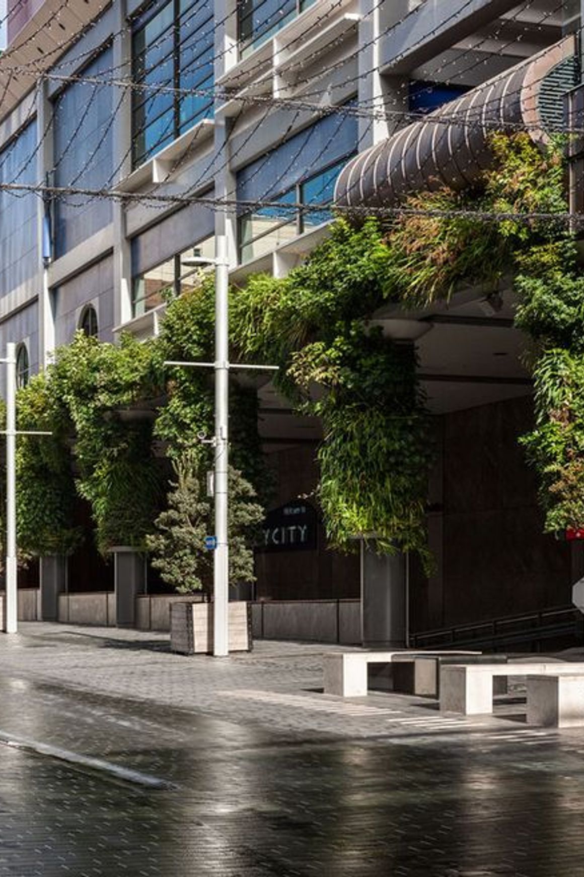 Green Walls | GreenAir