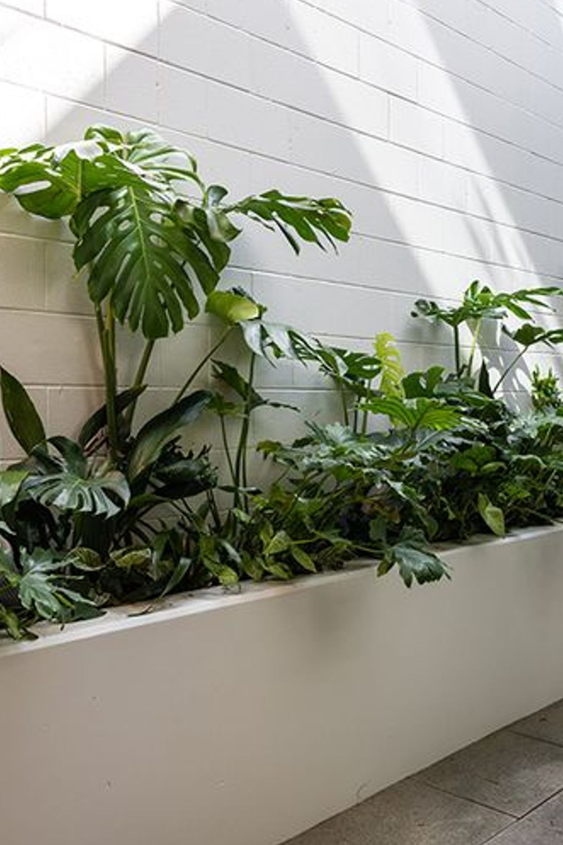 Customisable Indoor Garden Solutions | GreenAir