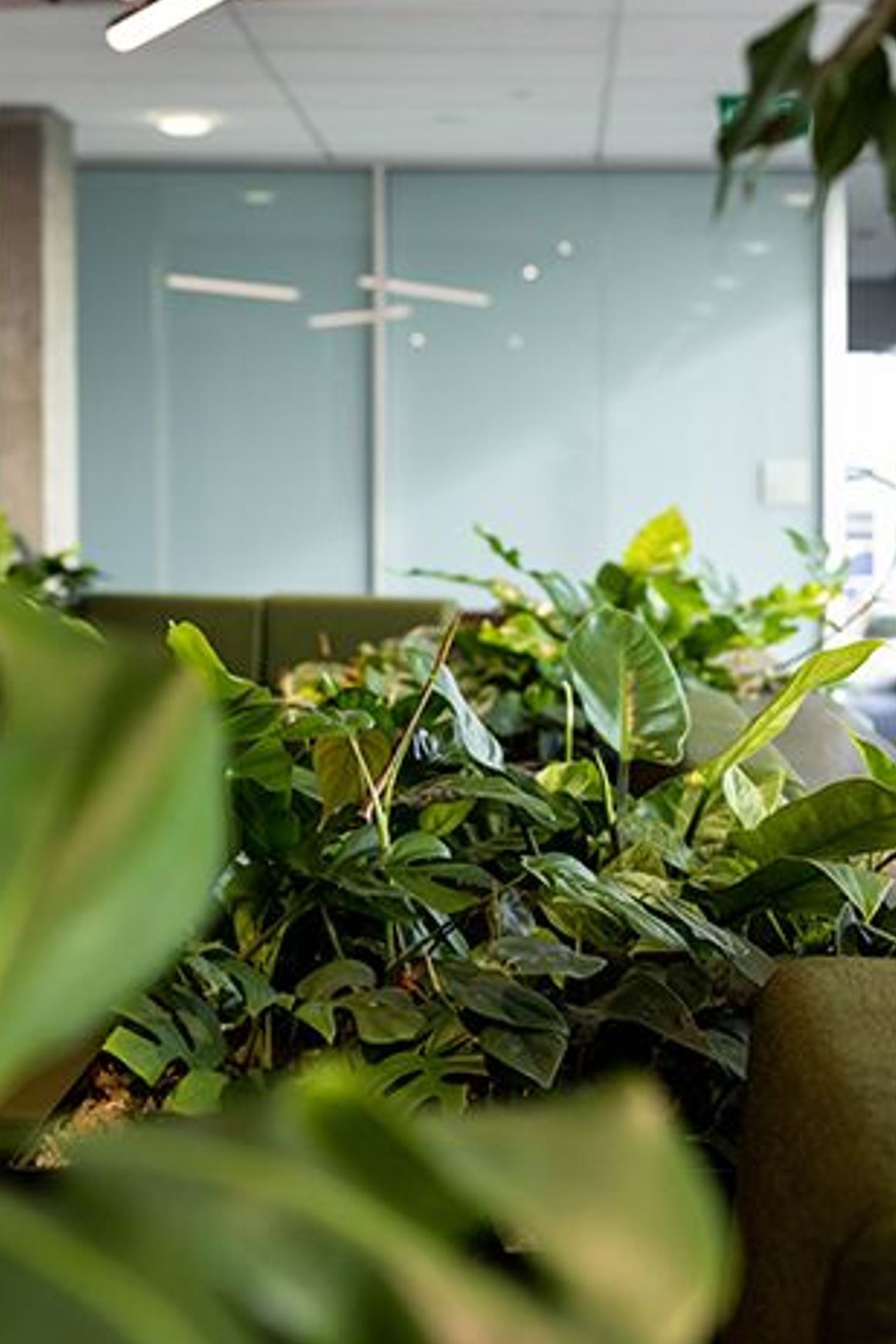 Customisable Indoor Garden Solutions | GreenAir