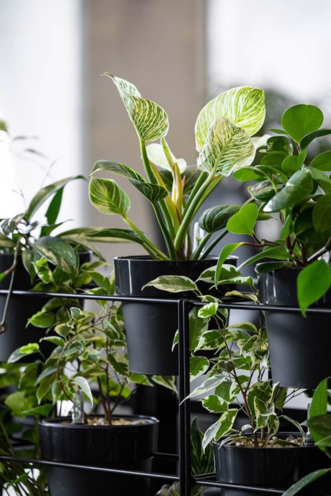 Stacked Plant Systems | GreenAir