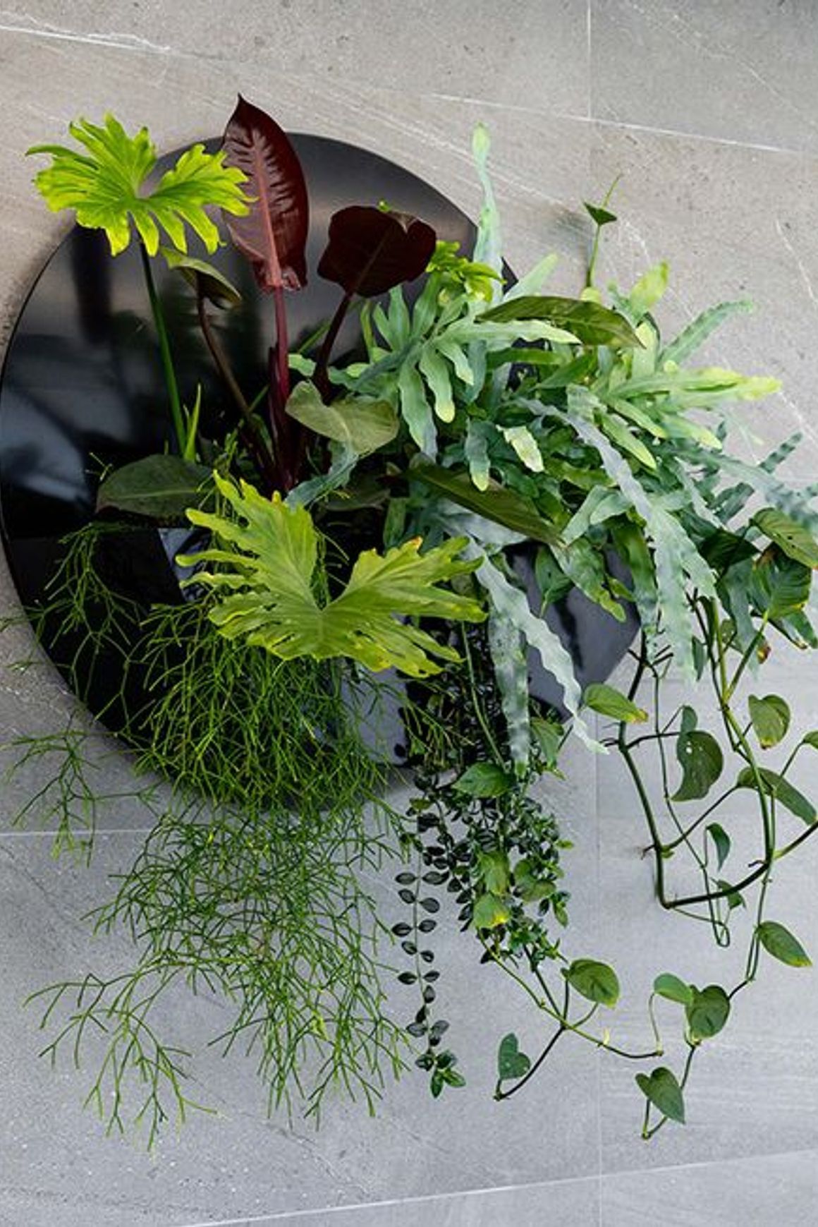 Wall Solutions | GreenAir