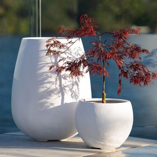 Franoma - Hamilton Planter