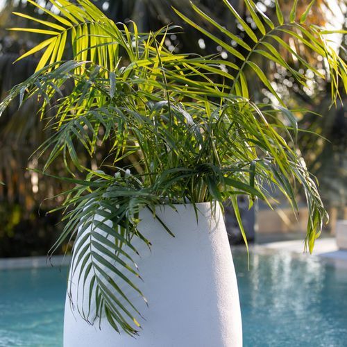 Franoma - Savona Planter