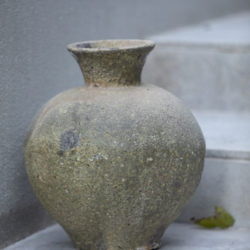 Atlantis - Mentor Pot