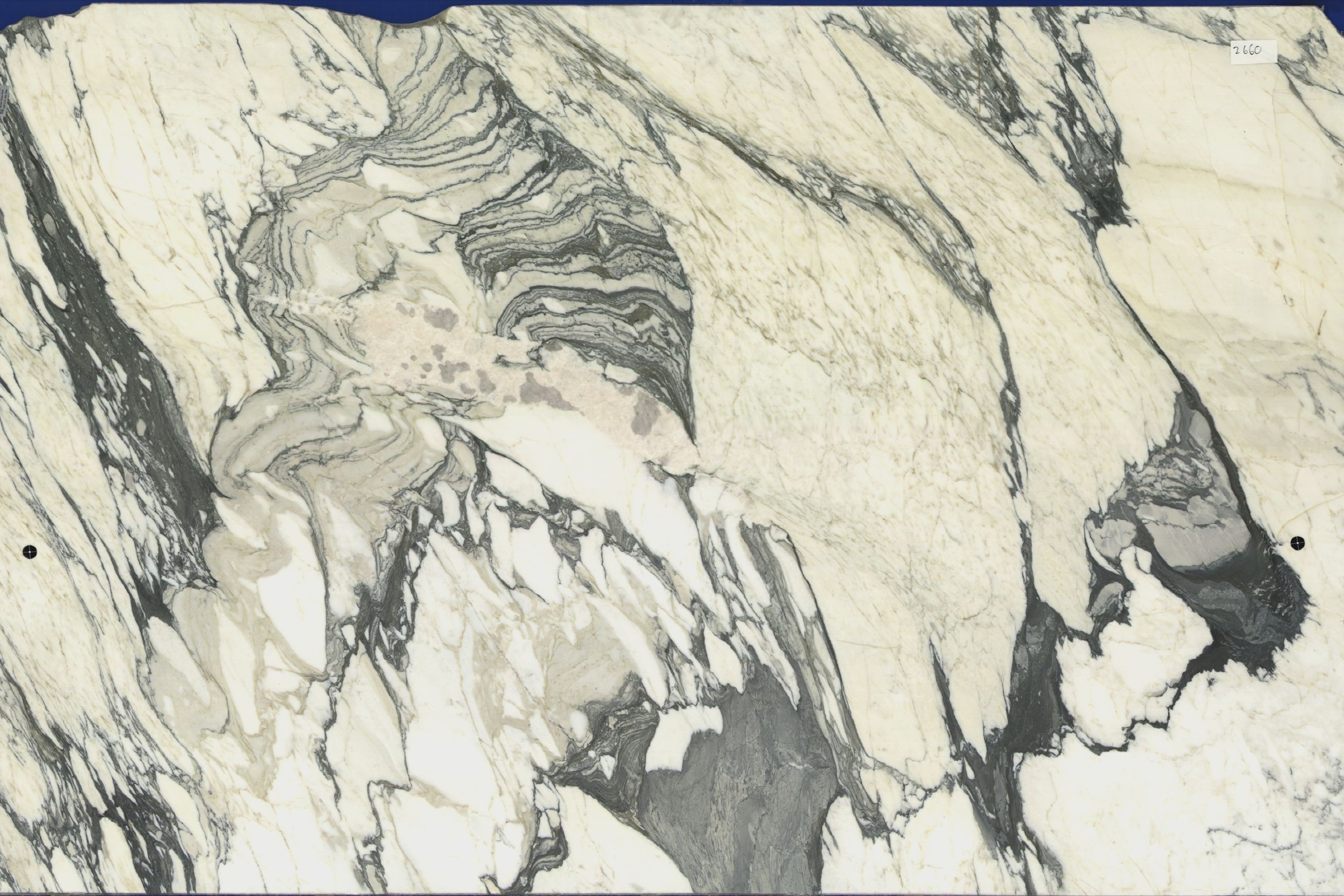 Calacatta Sinfonia | Marble