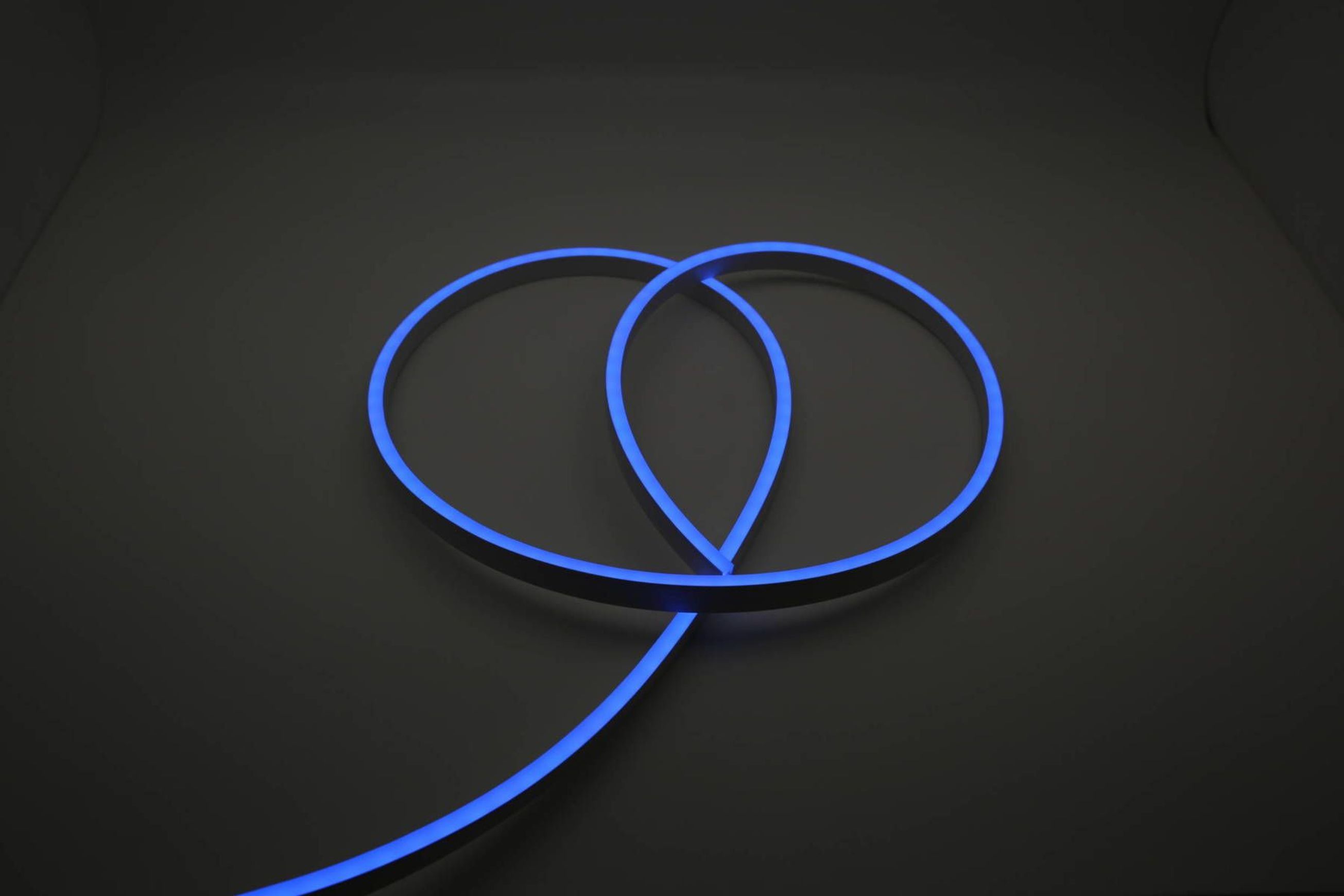 Cobra Snake Light