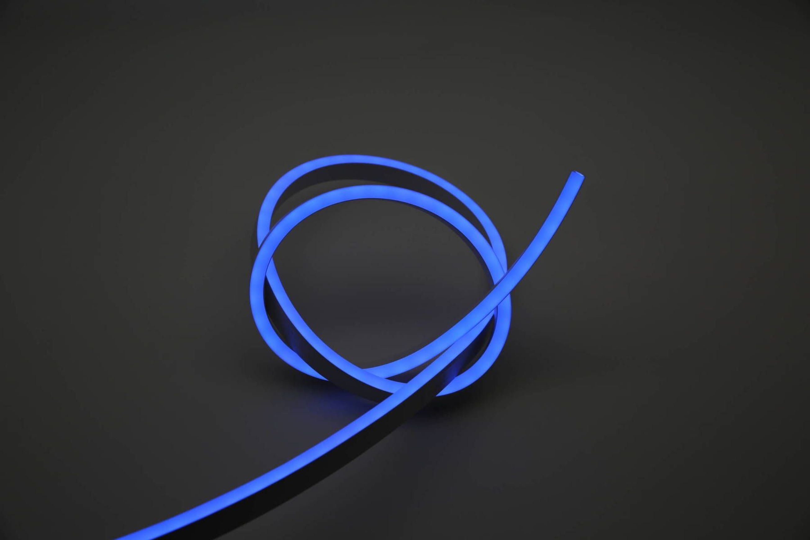 Cobra Snake Light