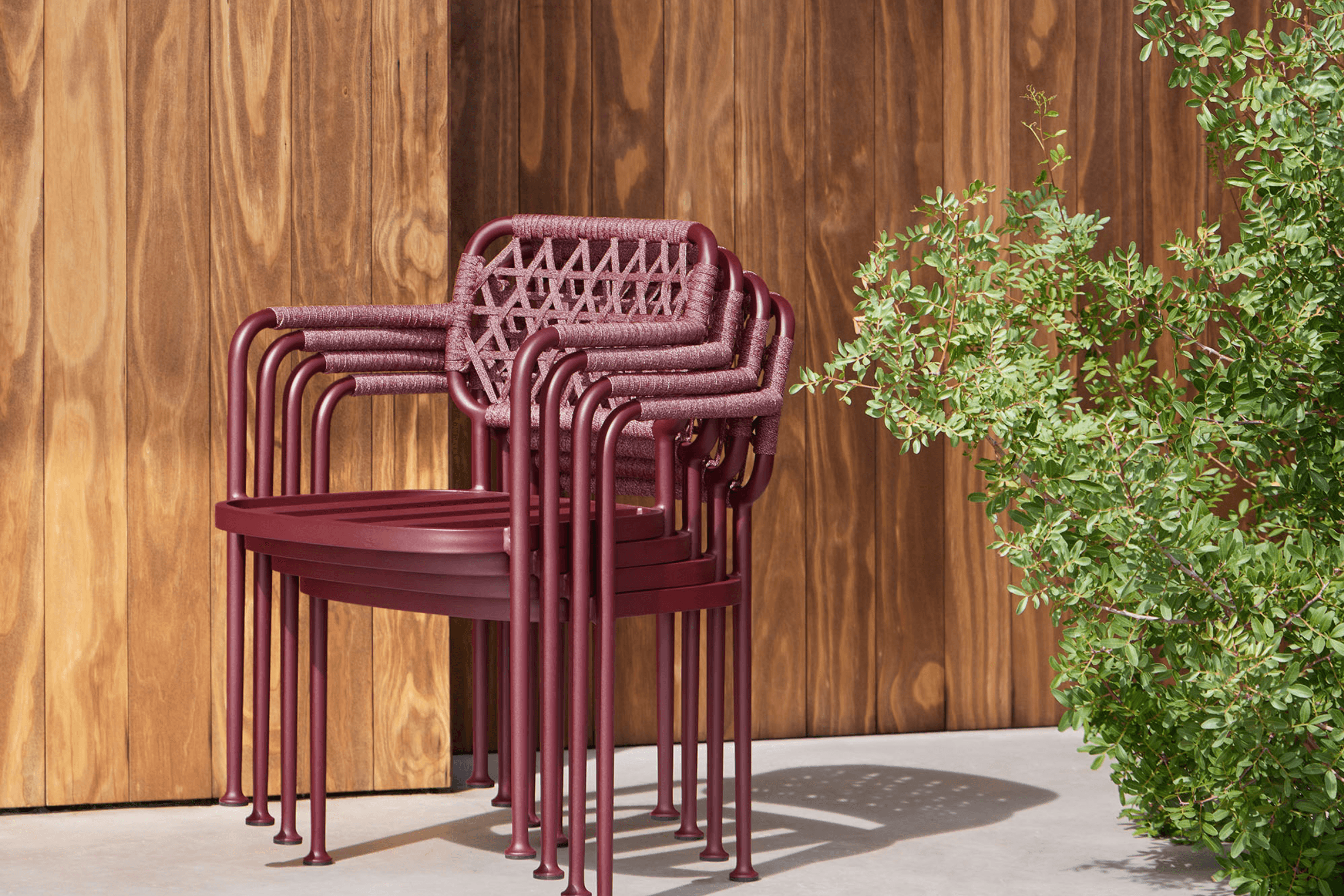 Curio Dining Chair