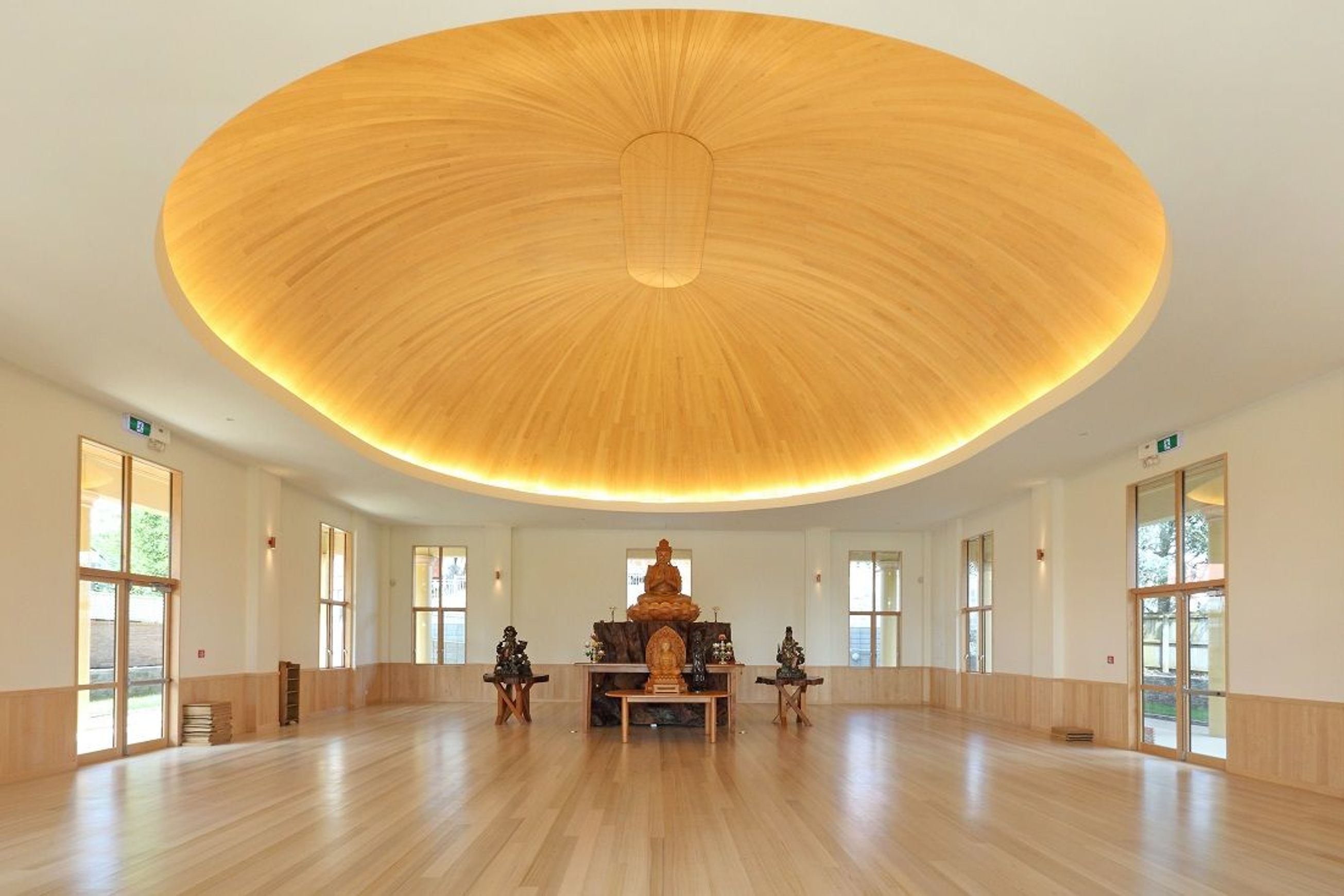 American Hard Maple