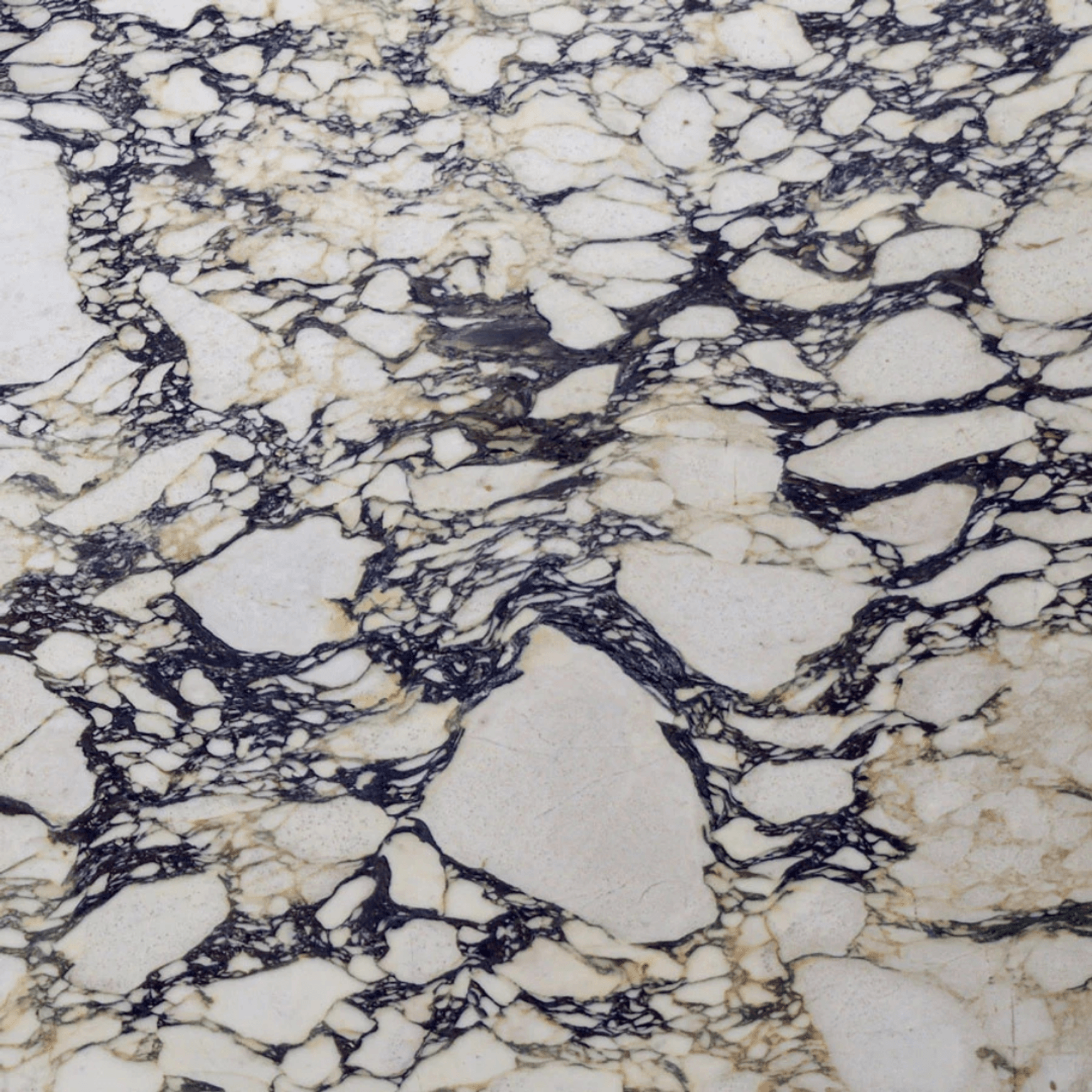 Block Coffee Table - Viola Calacatta Marble