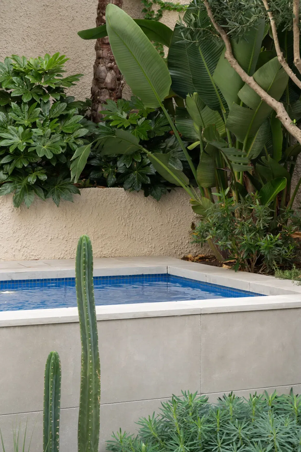 Maddison Tumbled Limestone Pool Coping