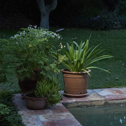 Birdie Single Set Garden Light