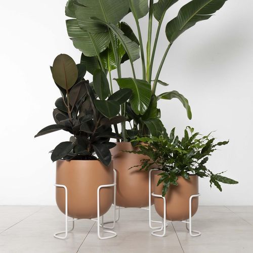 Bodo Planter Stands