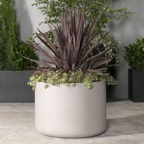 Brighton Low Cylinder