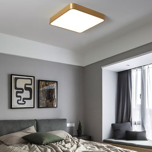 Plano Ceiling Light