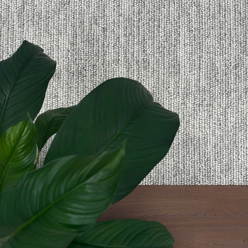 Belleville | Premium Wool