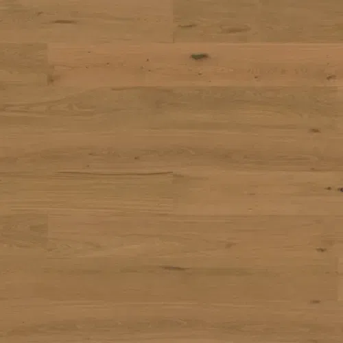 Bjelin XL 206 Honey | Nature Grade