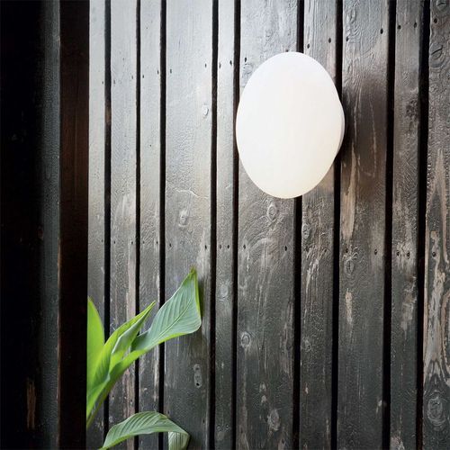 Bubble Outdoor Wall Light
