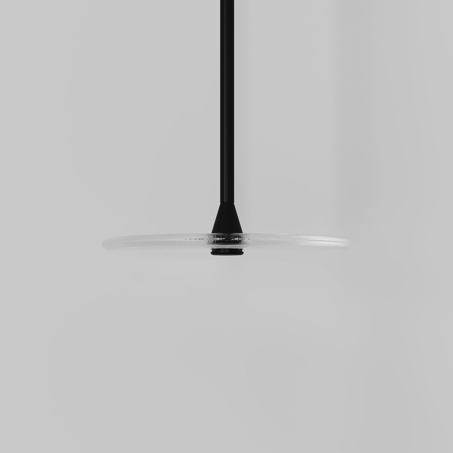 Coral Single Pendant - Clear Glass
