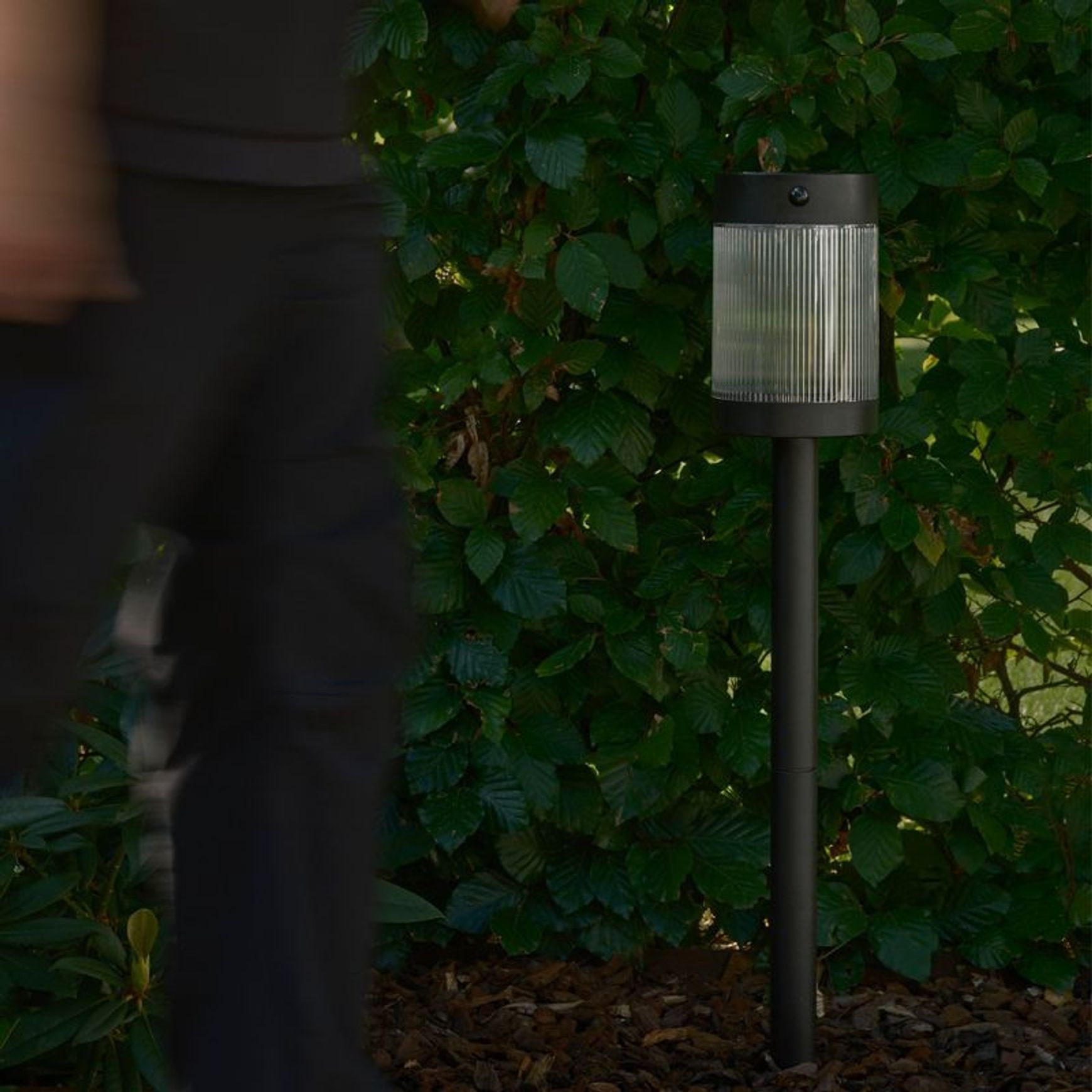 Coupar Solar Garden Spike