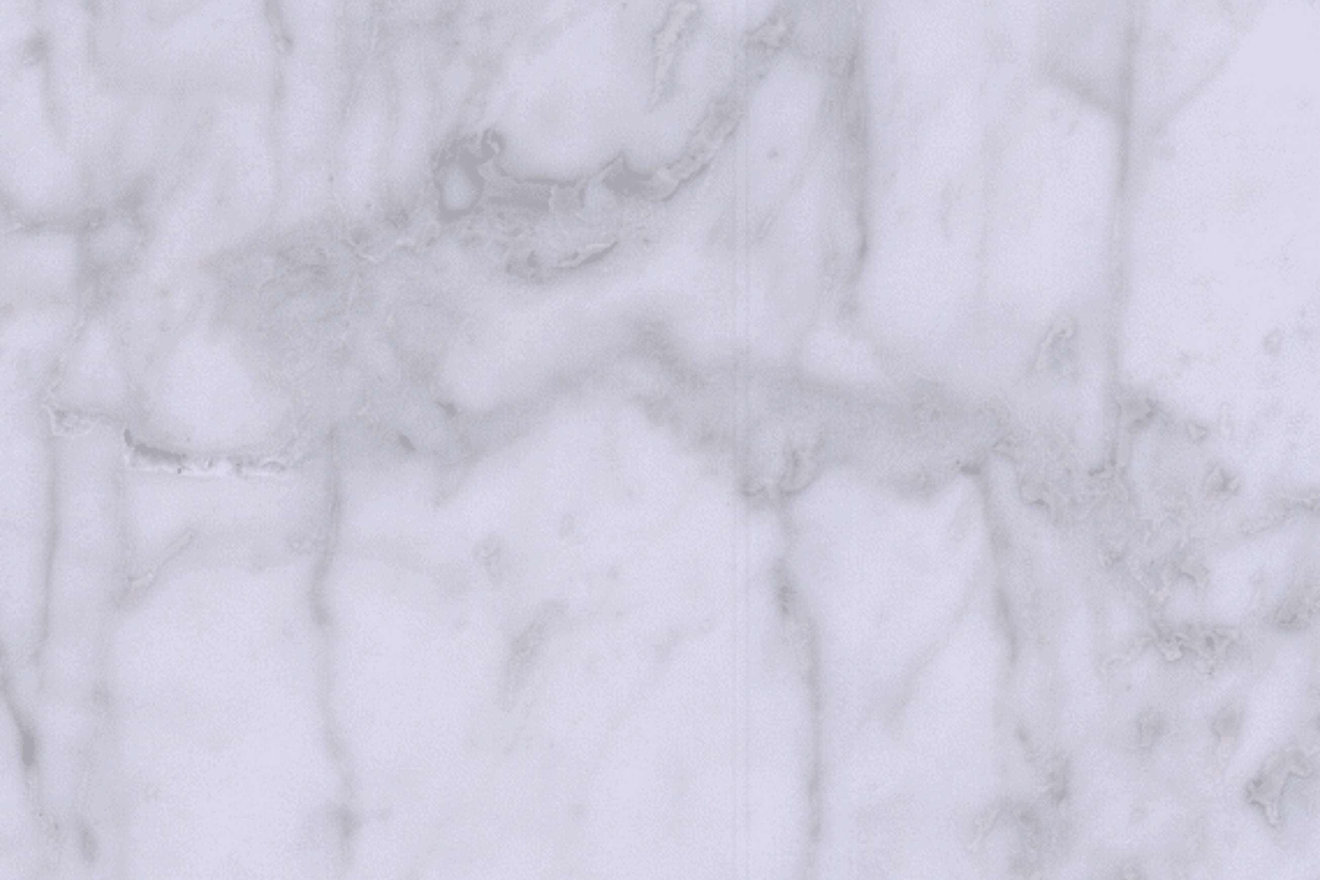 Carrara C