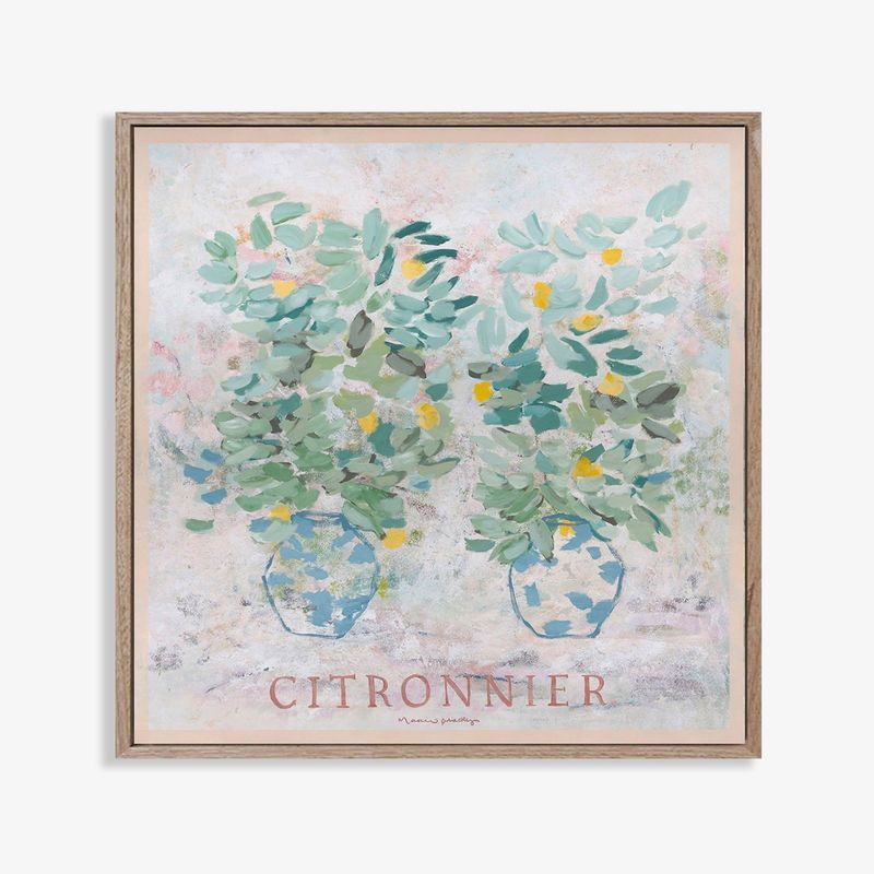 Citronnier - Limited Edition Print