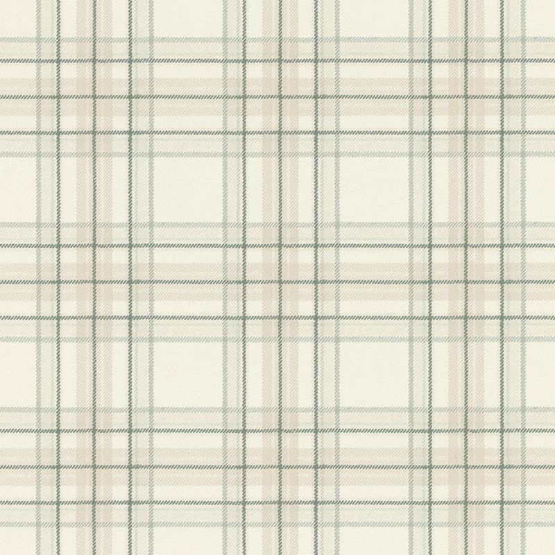 Curiosity Wallpaper (No. 537437)