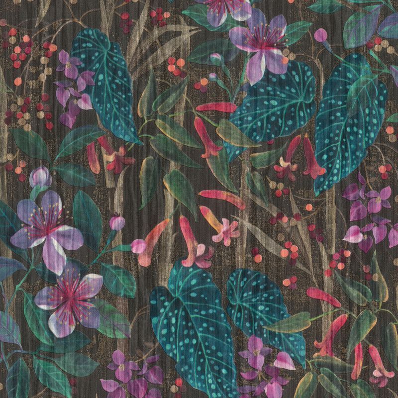 Curiosity Wallpaper (No. 538236)