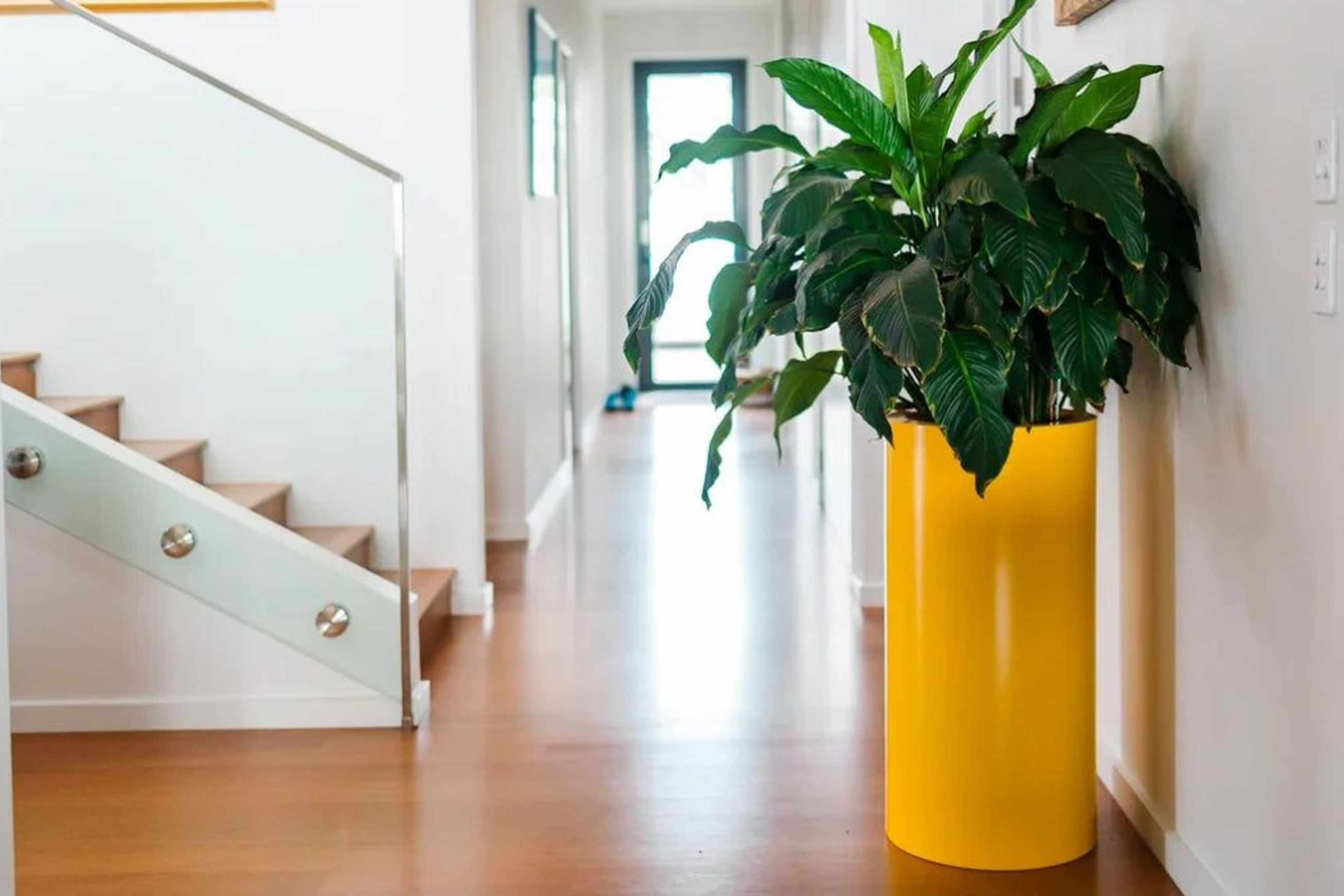 Cylindrus 8040 Planter