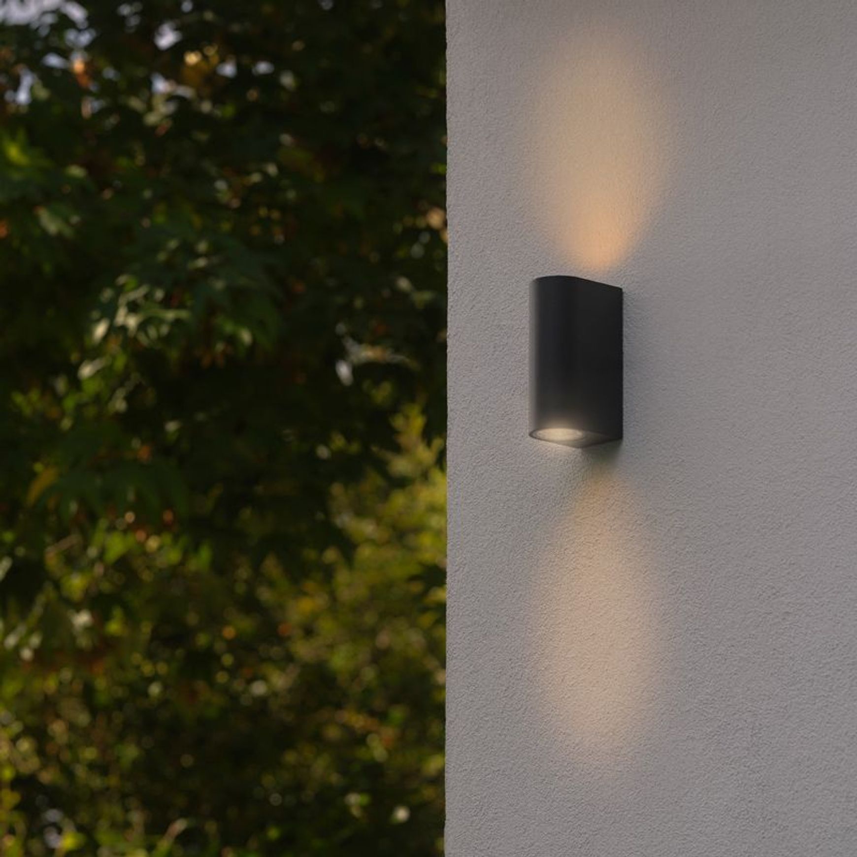 Dion Double Wall Light