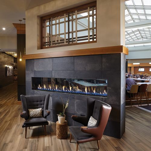 Davinci See Thru Gas Fireplace