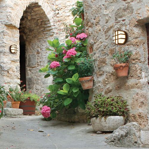 Porta IP65 Wall Light