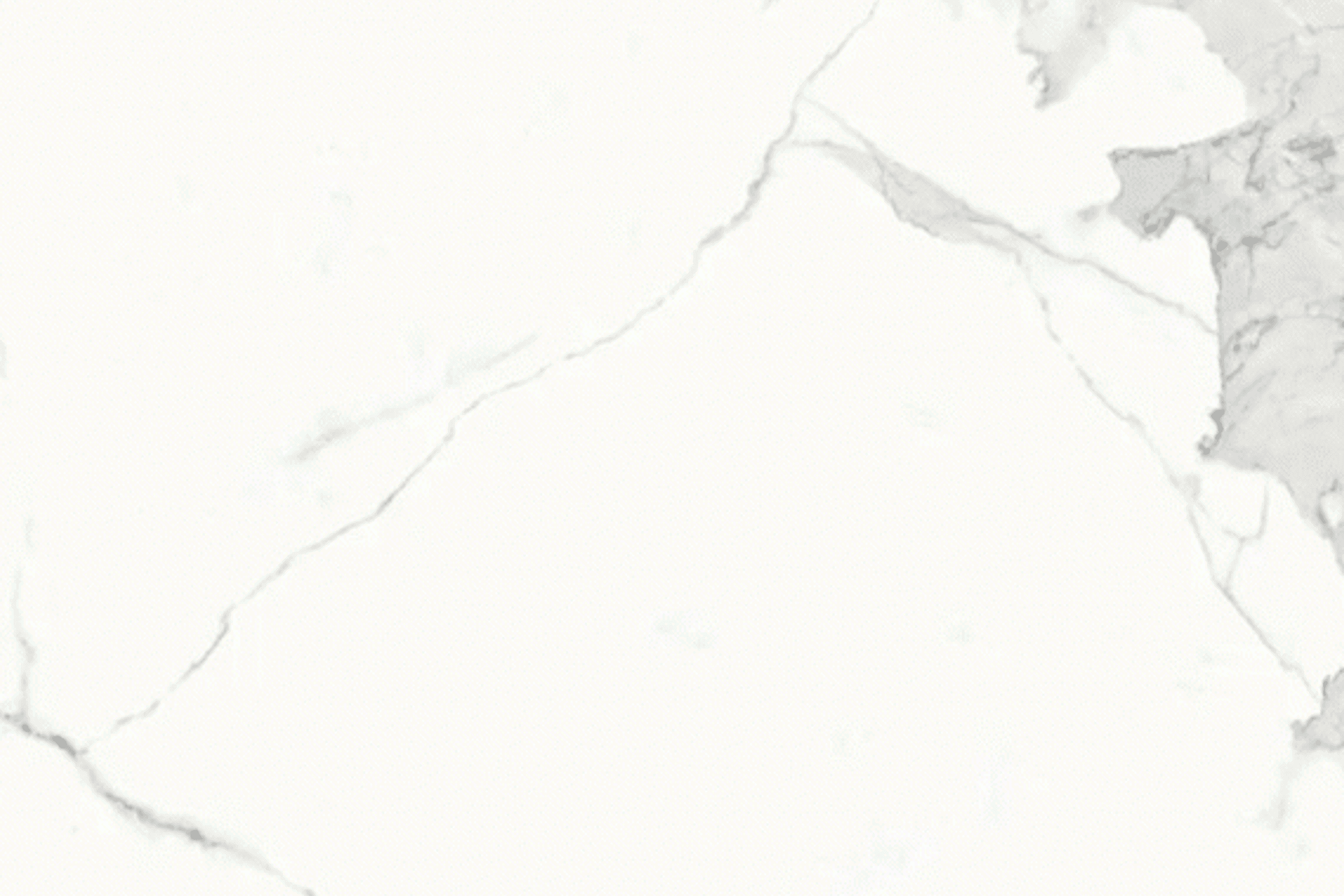 Estatuario E01/E01R