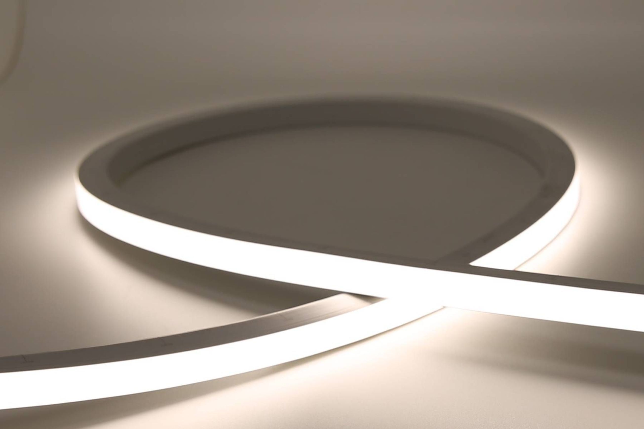 Cobra Snake Light