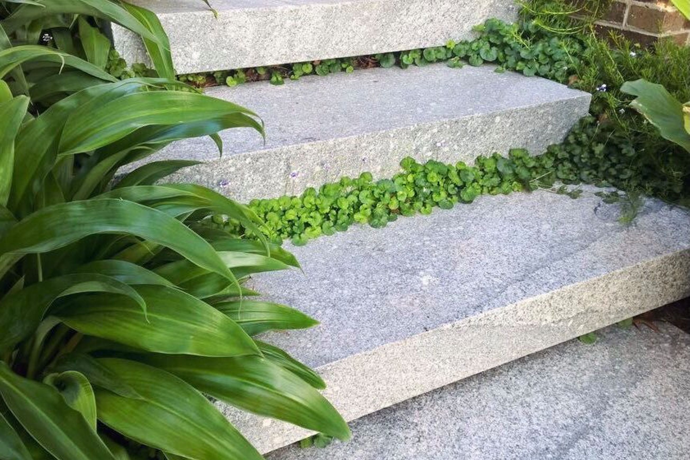 Fantasy Grey Granite Tiles