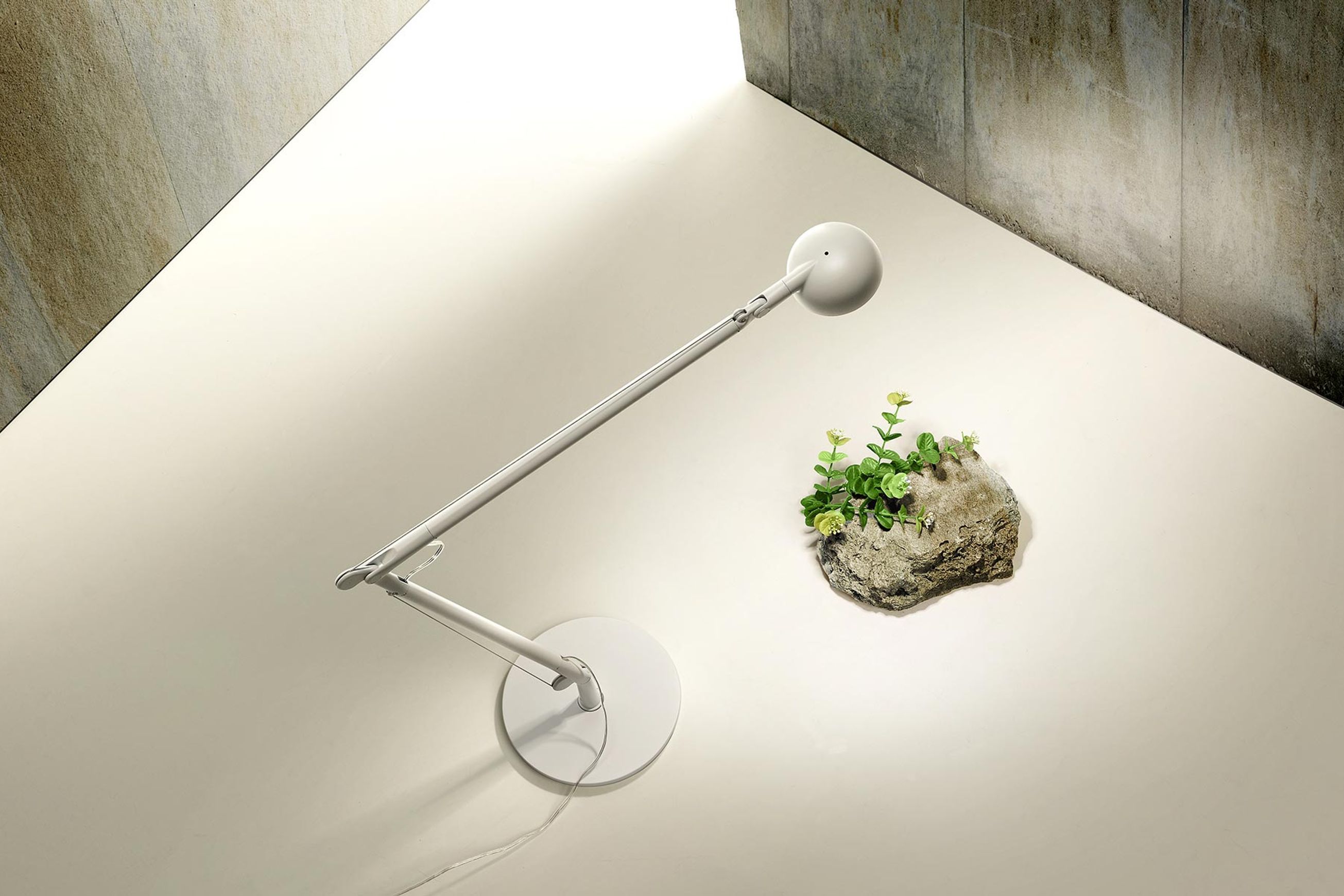 Opuntia Table Lamp