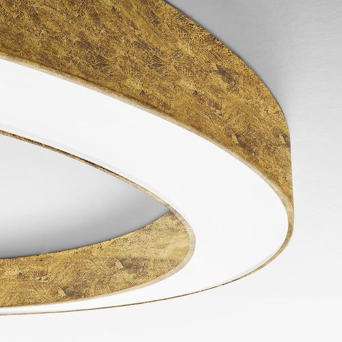 Silver Ring Suspension and Surface Light