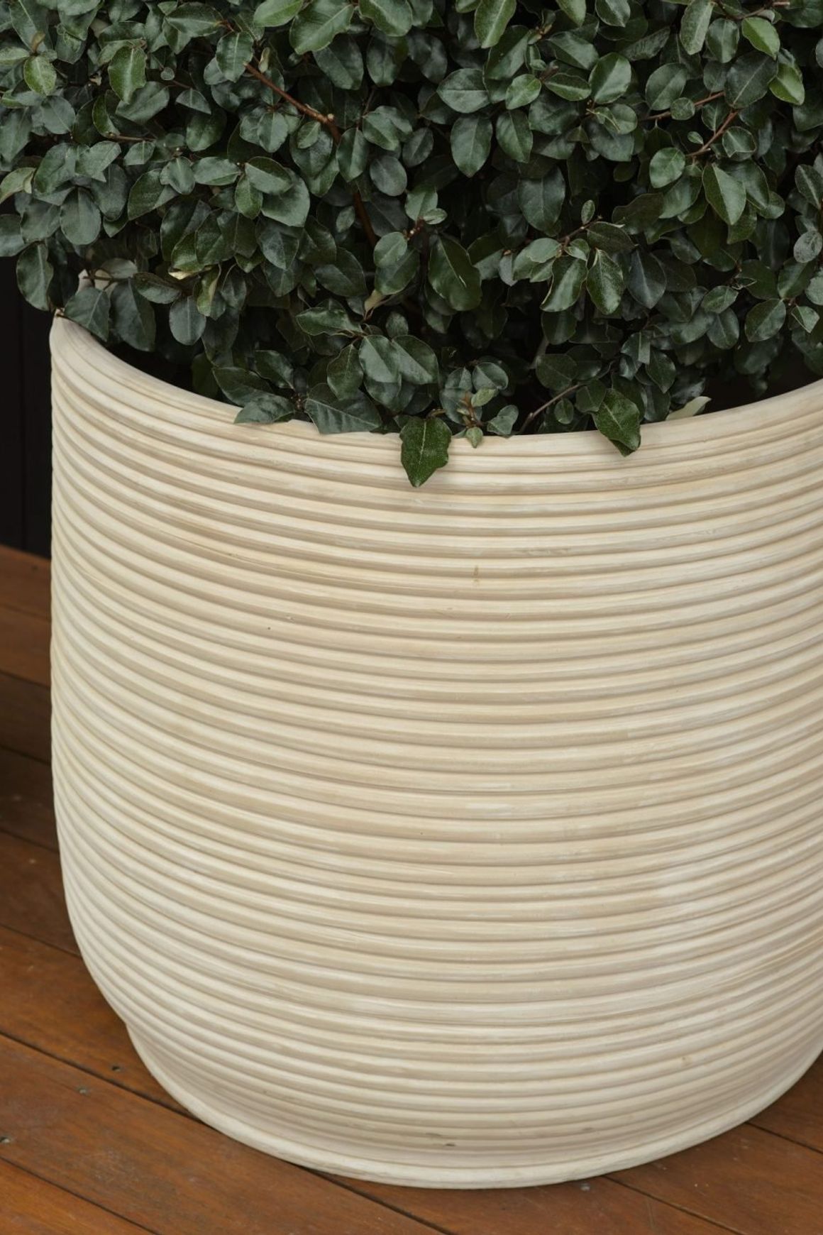 Handthrown Terracotta Coil