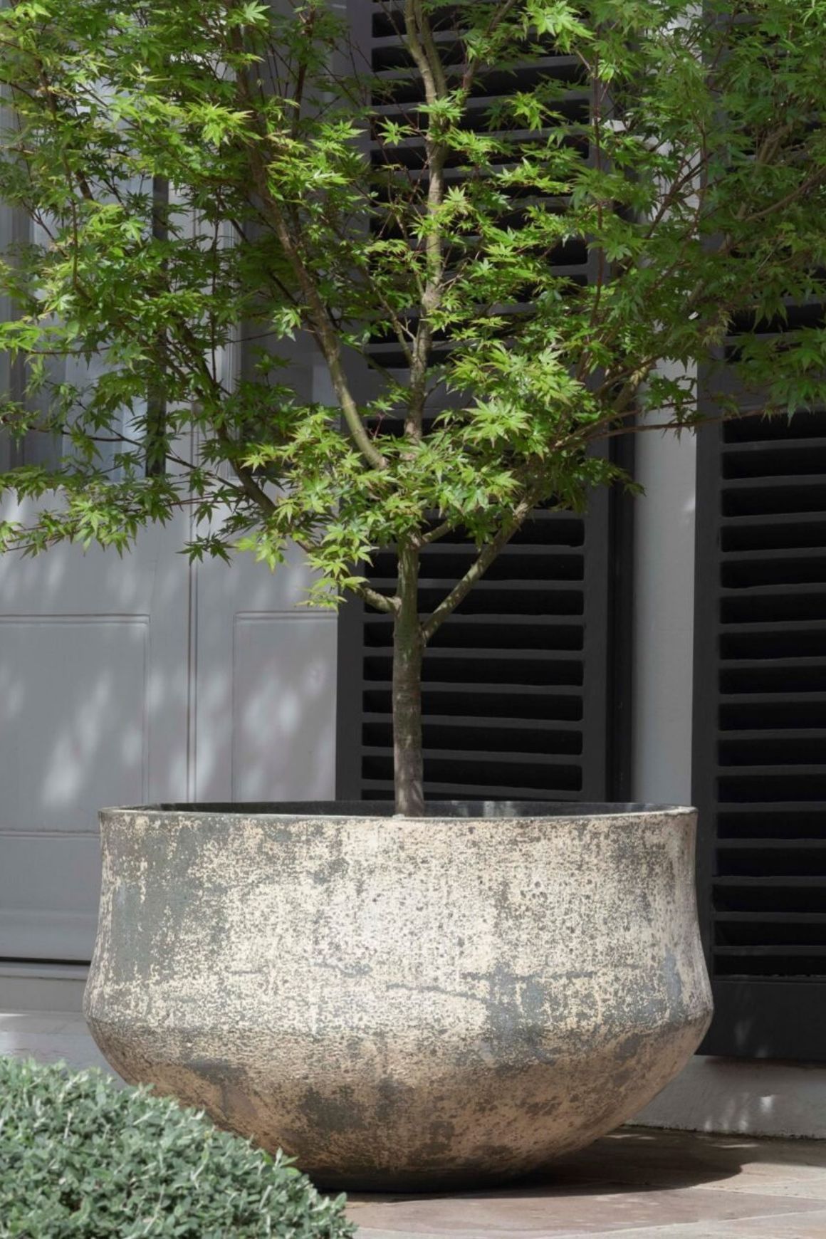 Woodfired Drum