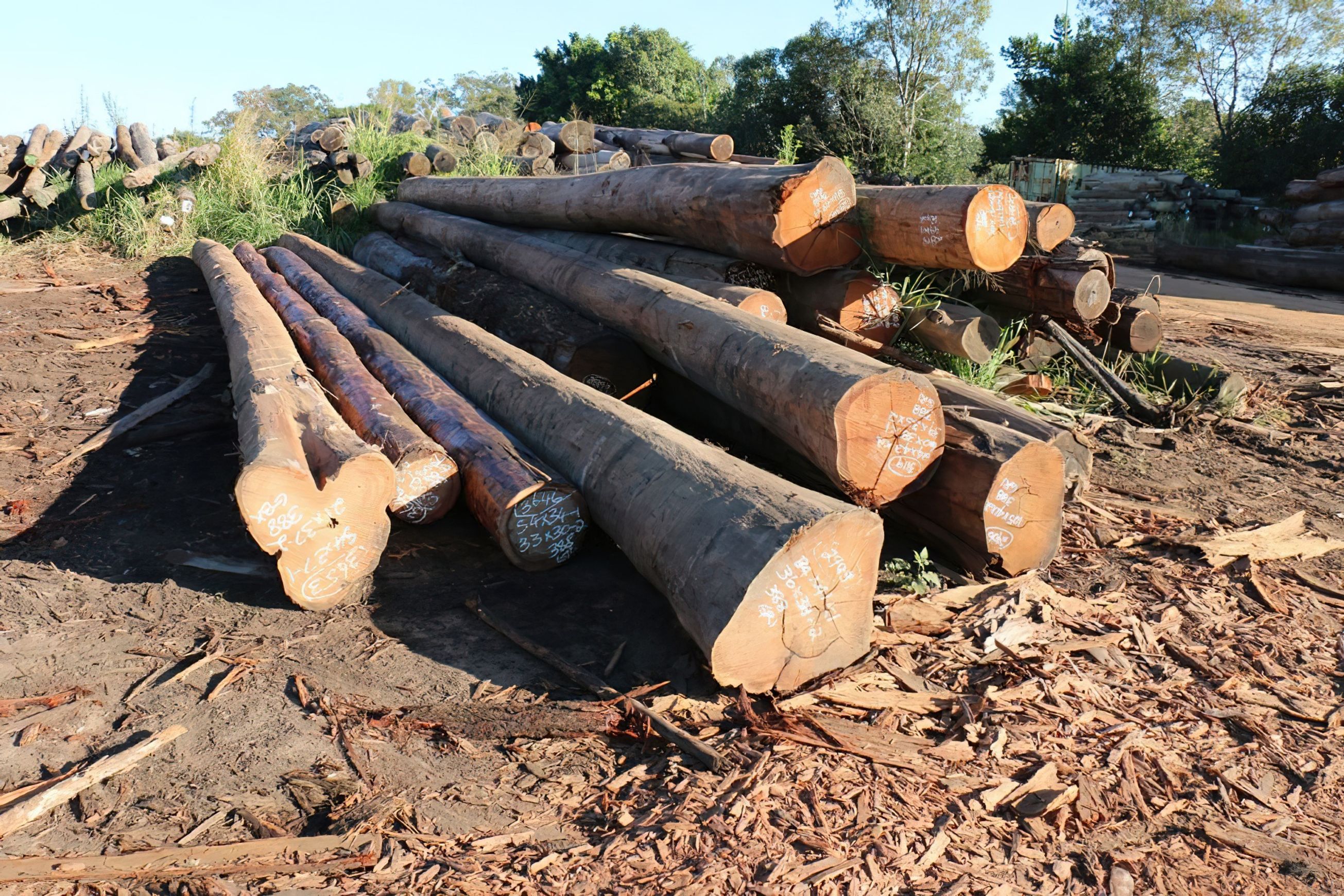 Landscaping Timbers